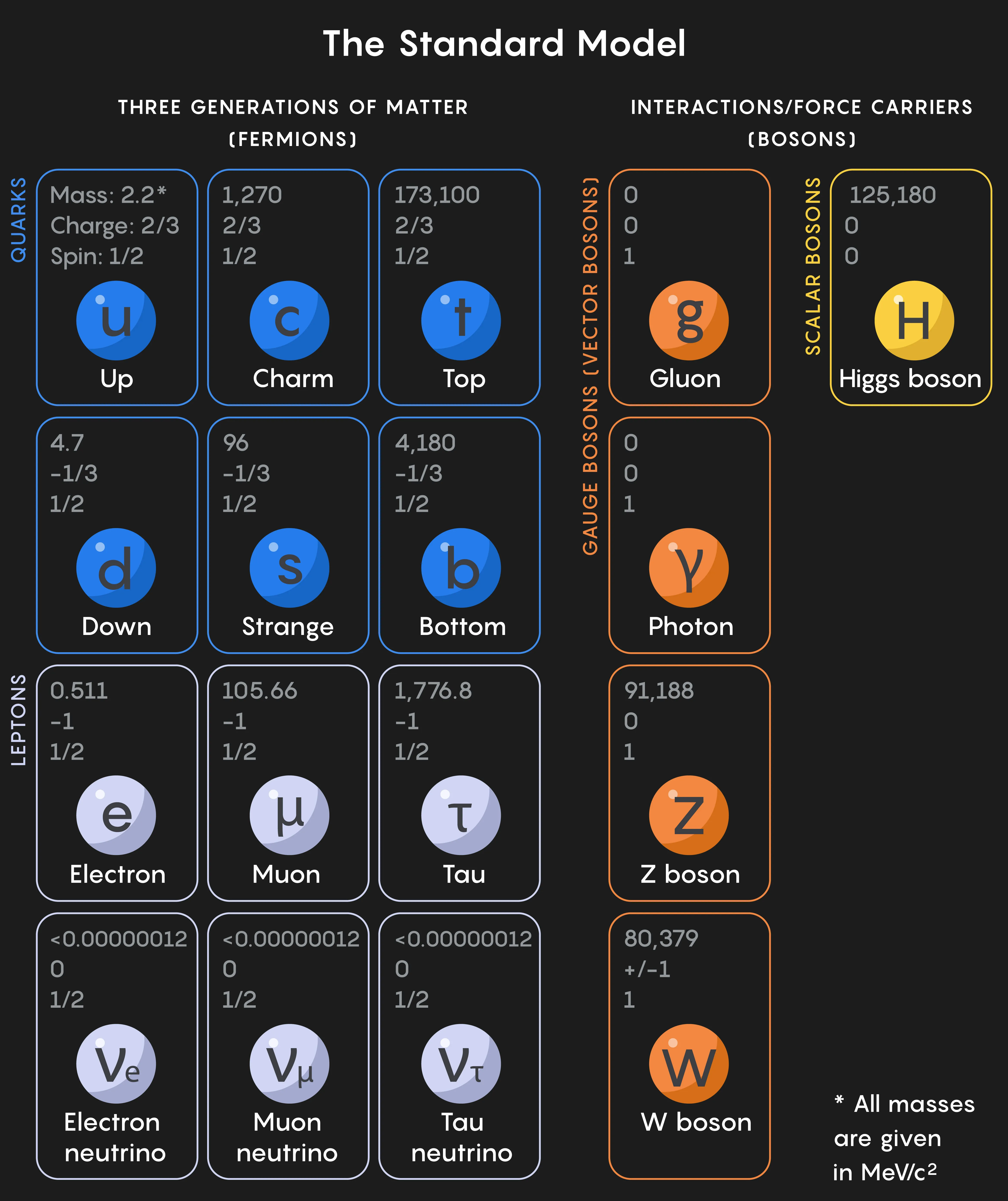 The SM particles